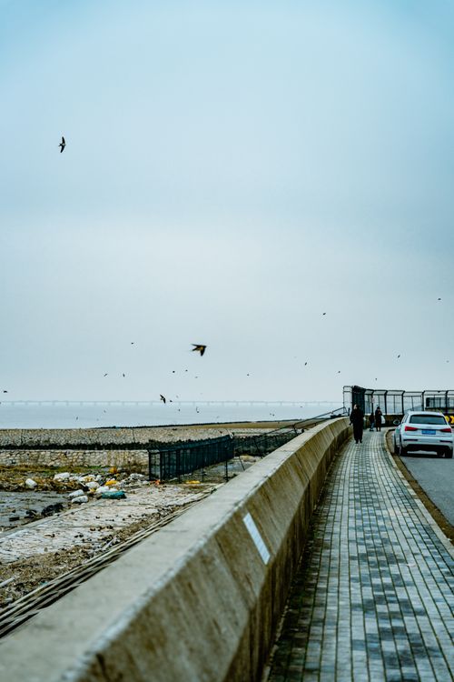 Free A serene coastal promenade with birds flying over the sea on a cloudy day. Stock Photo