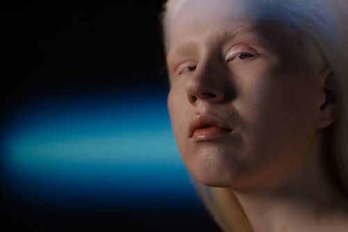 Free An artistic portrait of a young albino woman with a vivid blue background. Stock Photo