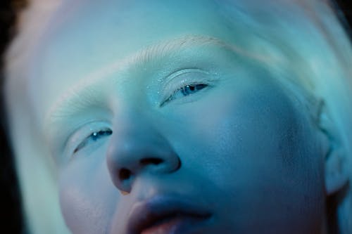Darmowe zdjęcie z galerii z albinos, blady, brwi