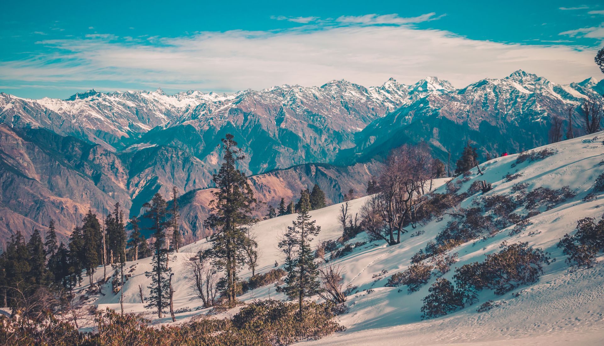 Chopta Tungnath Chandrashila Trek — 2N/3D