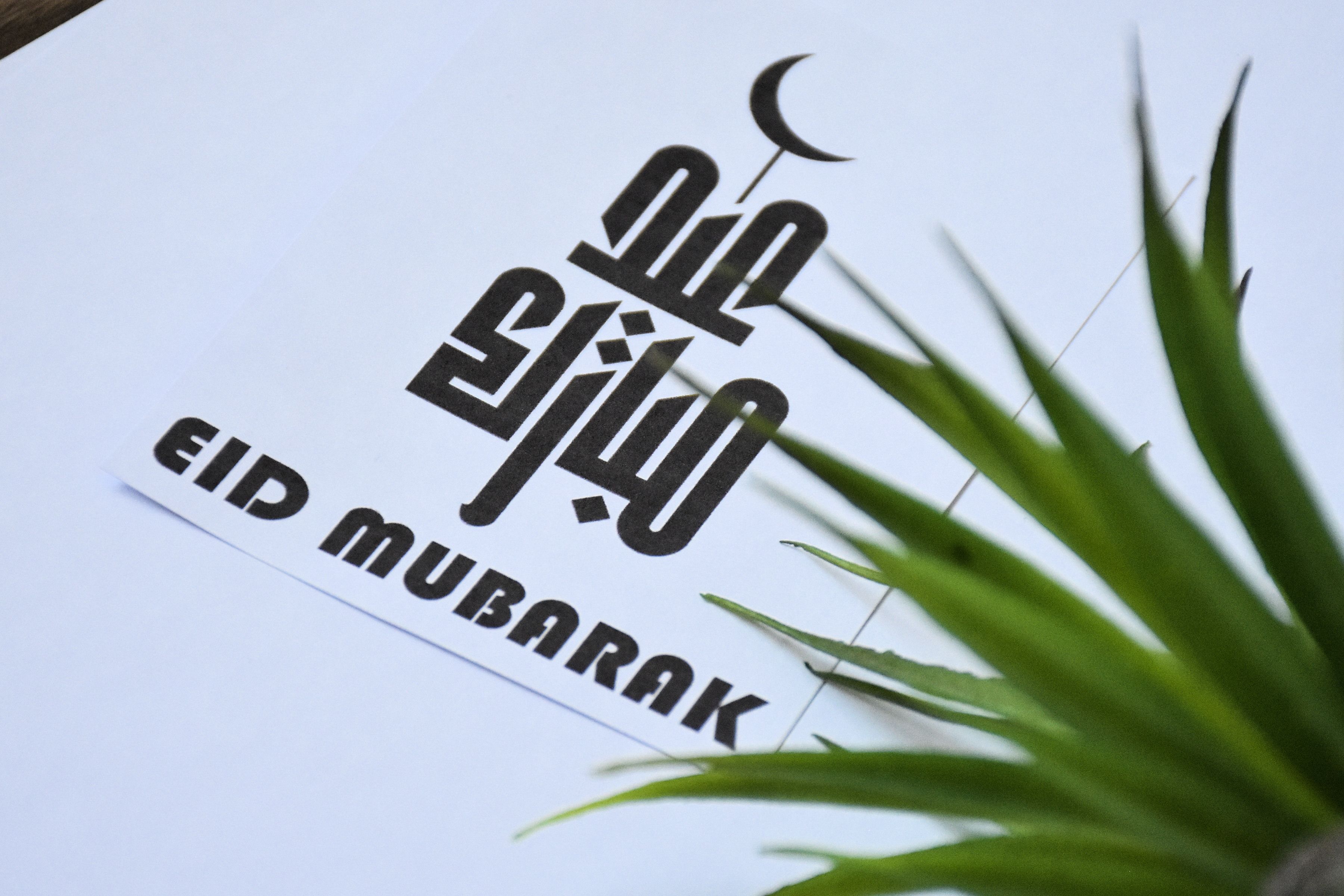 Chic Eid Mubarak greeting card with Islamic calligraphy and a green plant accent.