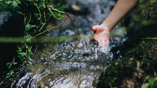 Безкоштовне стокове фото на тему «H2O, вода, Денне світло»