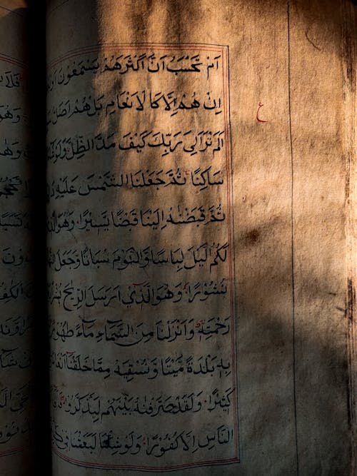 Fotos de stock gratuitas de antiguo, árabe, Corán