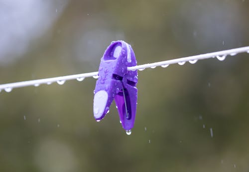 Бесплатное стоковое фото с глубина резкости, капельки воды, крупный план