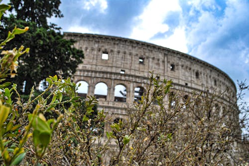 Ilmainen kuvapankkikuva tunnisteilla roma