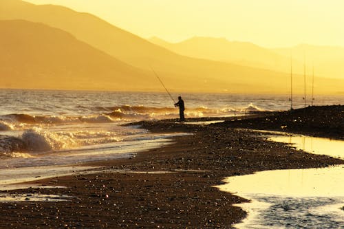 A Person Fishing on a Coast