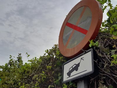 合群本能示意图