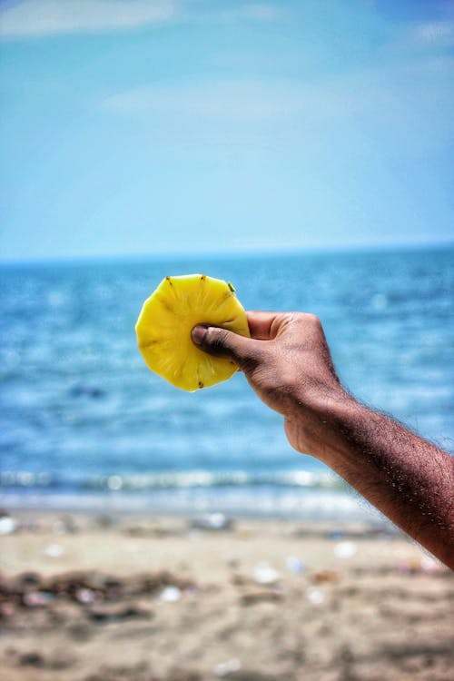 Free Person Holding Sliced Pineapple  Stock Photo