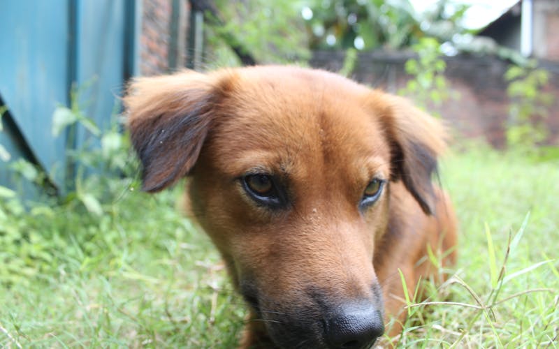 Silverwood Theme Park near Coeur d'Alene, Idaho