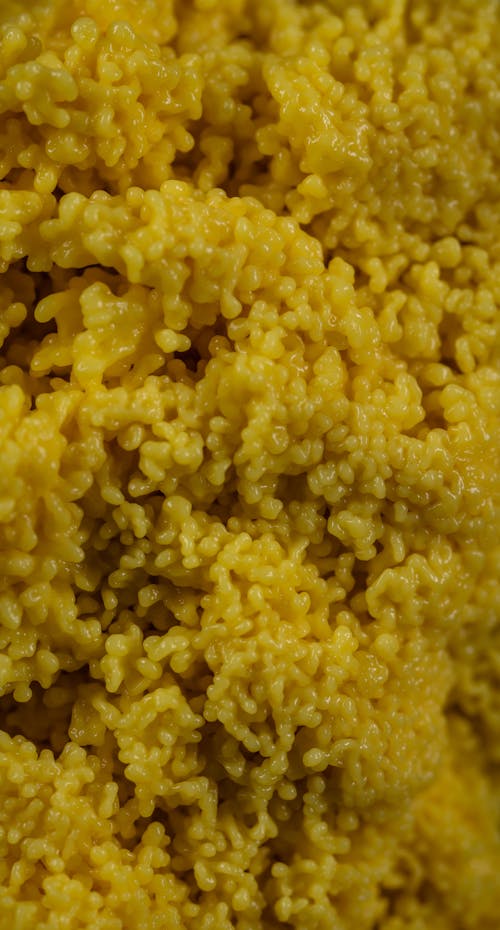 Kostnadsfria Kostnadsfri bild av couscous, gul, hirs Stock foto