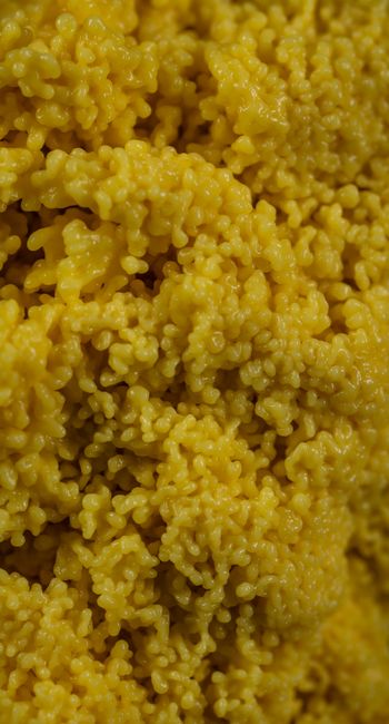 Mua Hạt Kê Vàng Ở Đâu Uy Tín, Chất Lượng, Giá Tốt Nhất? 3 Macro shot of bright yellow cooked couscous for texture and detail.
