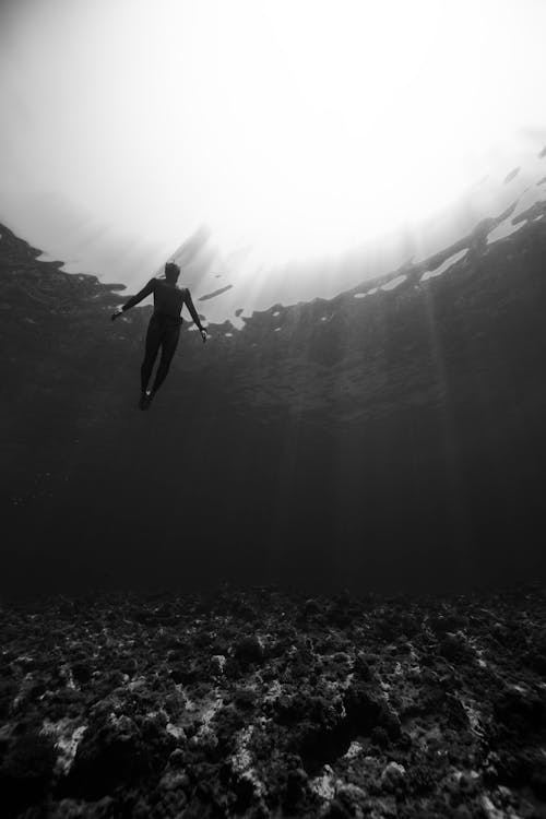 Black and white of from below of scuba diver swimming in clear water in swimsuit under rays of light