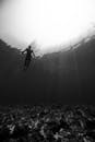 Black and white of from below of scuba diver swimming in clear water in swimsuit under rays of light