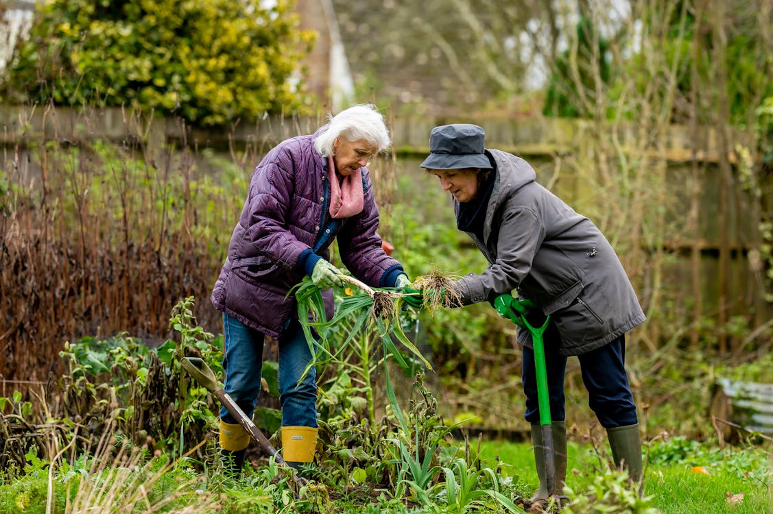 gardening