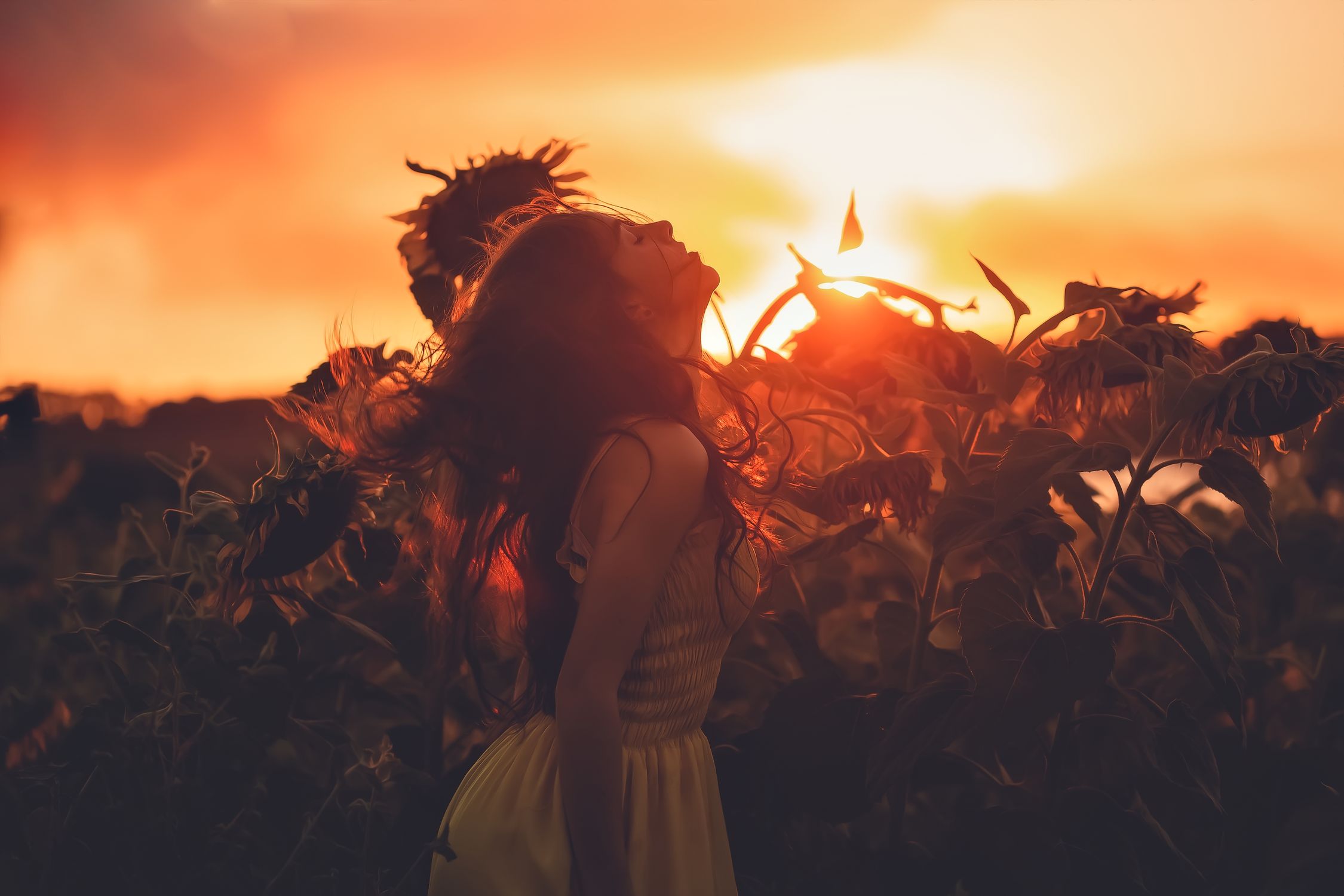 Woman in Yellow Dress Standing Near Sunflower Field · Free Stock Photo