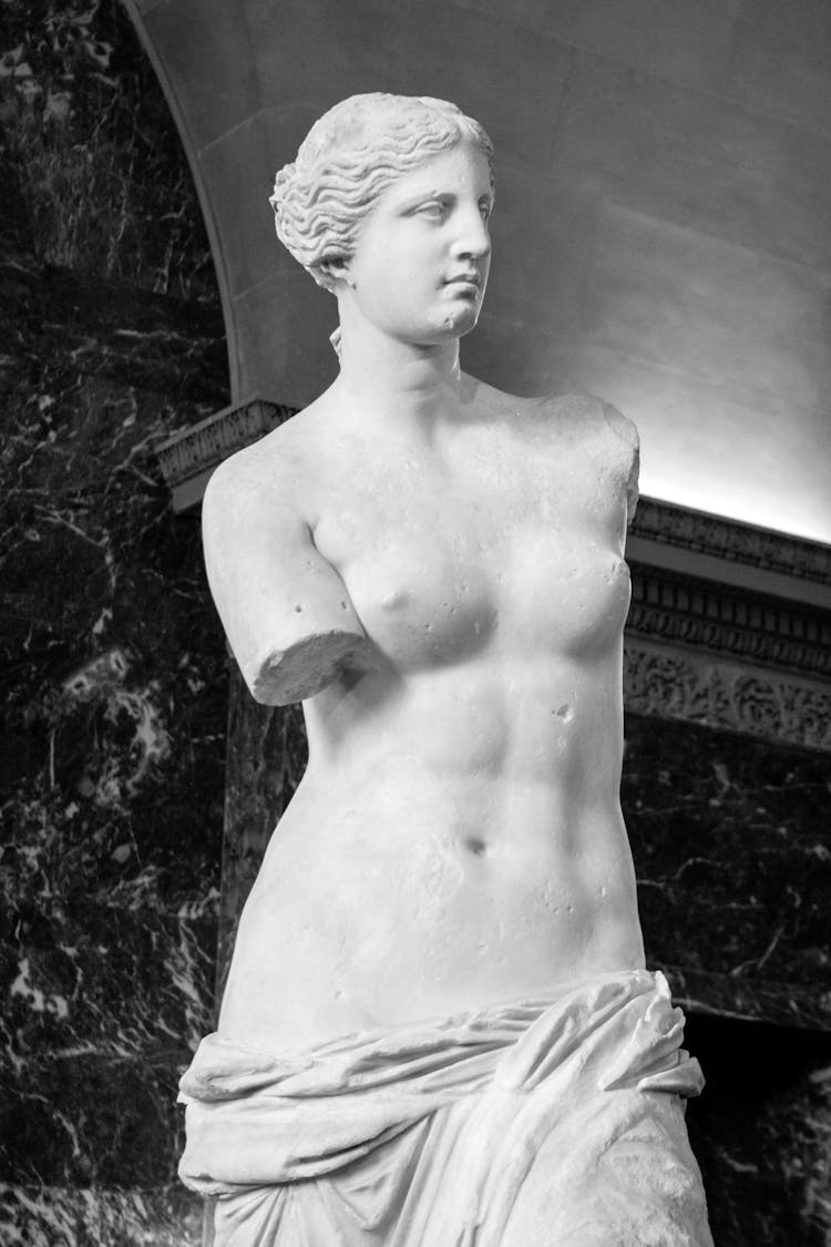 Grayscale Photo Of The Venus De Milo