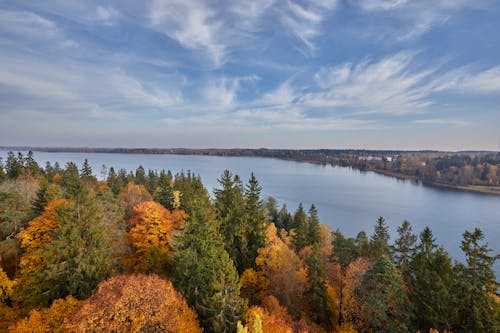 Free stock photo of atumn on lake, autumn landscape, autumn scene Stock Photo