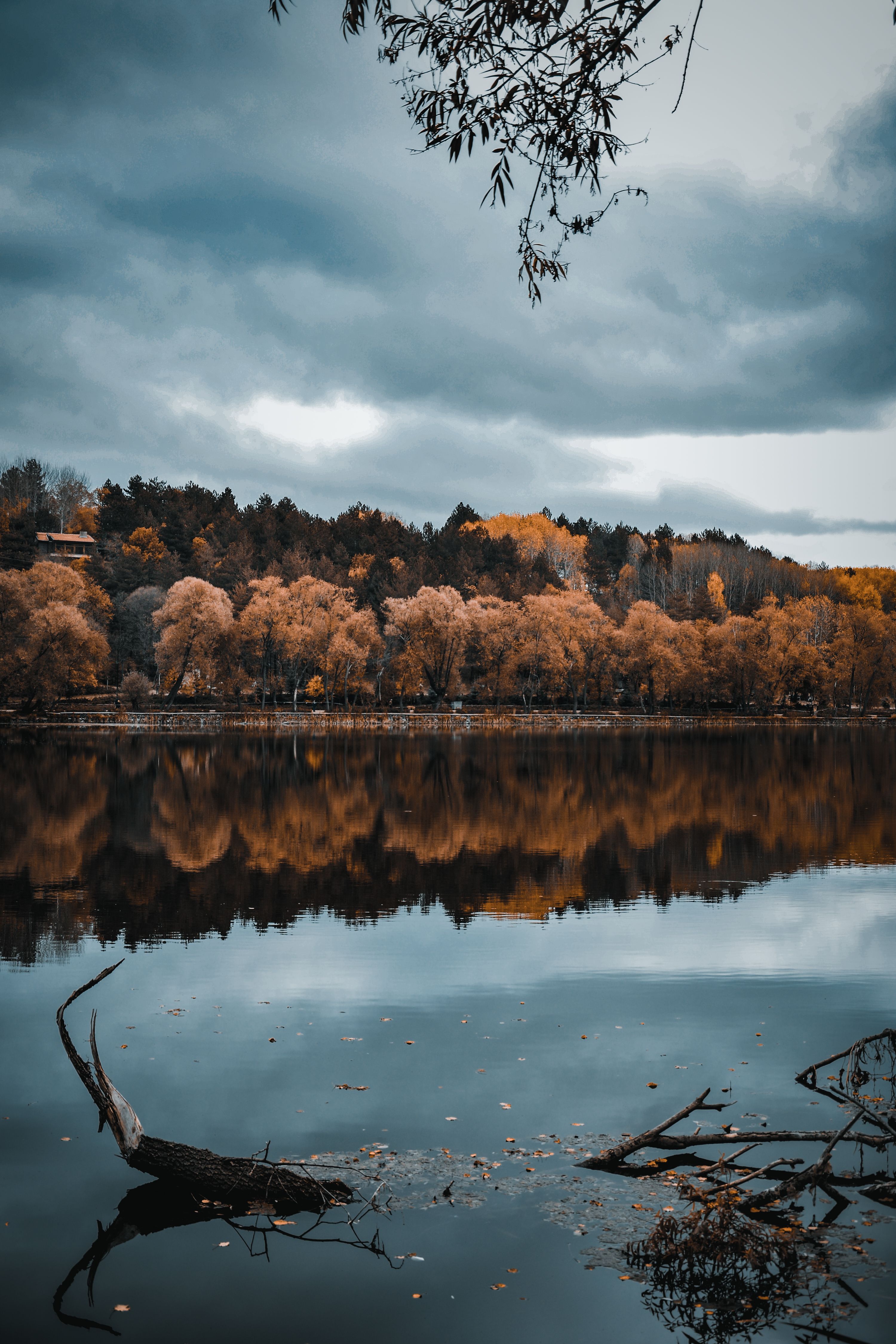 Trees Beside Lake Under Cloudy Sky · Free Stock Photo