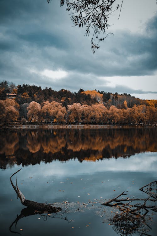 Trees Beside Lake Under Cloudy Sky