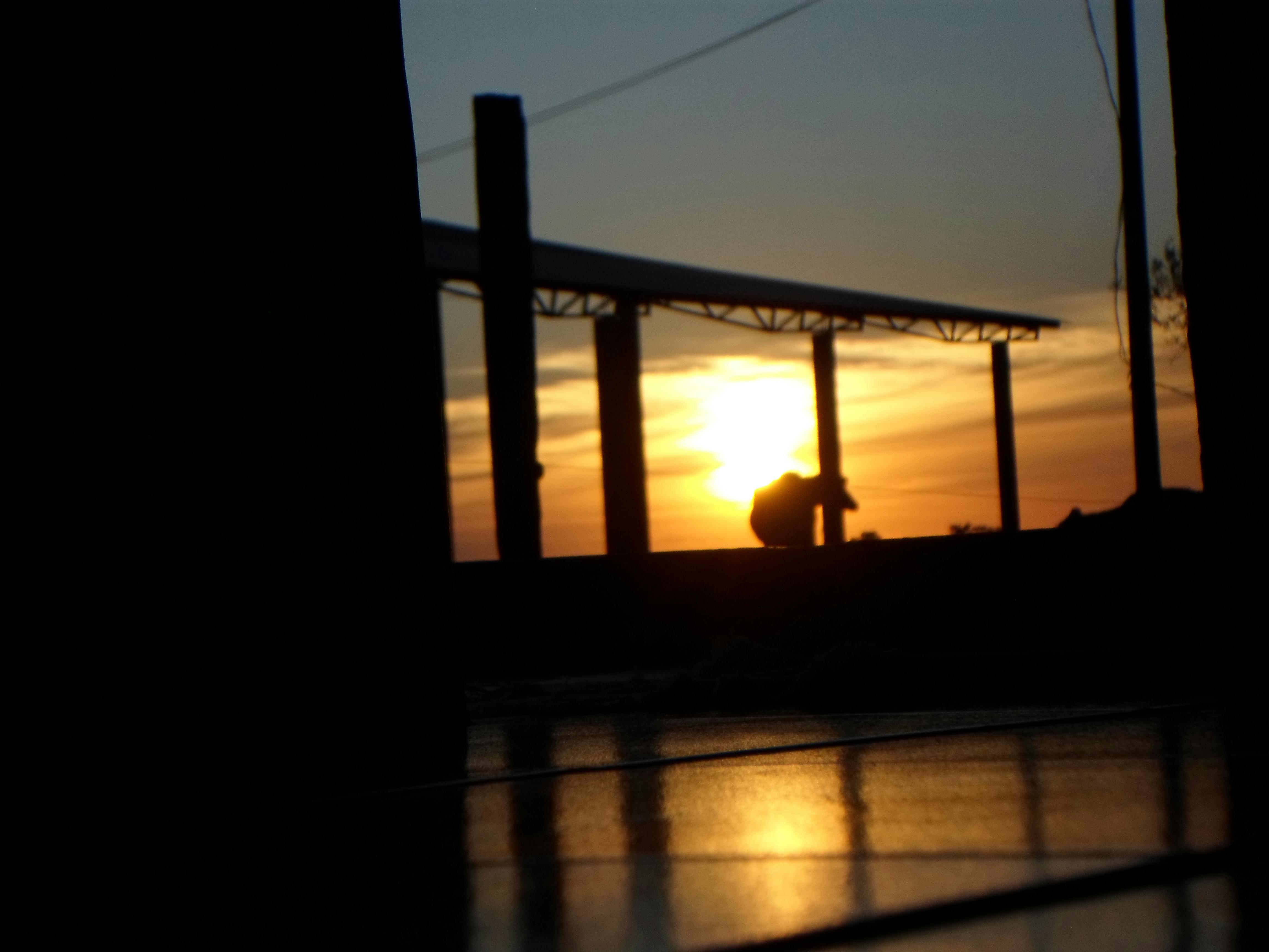 Walldpaper 12 Photos & Videos Collected by Patricia