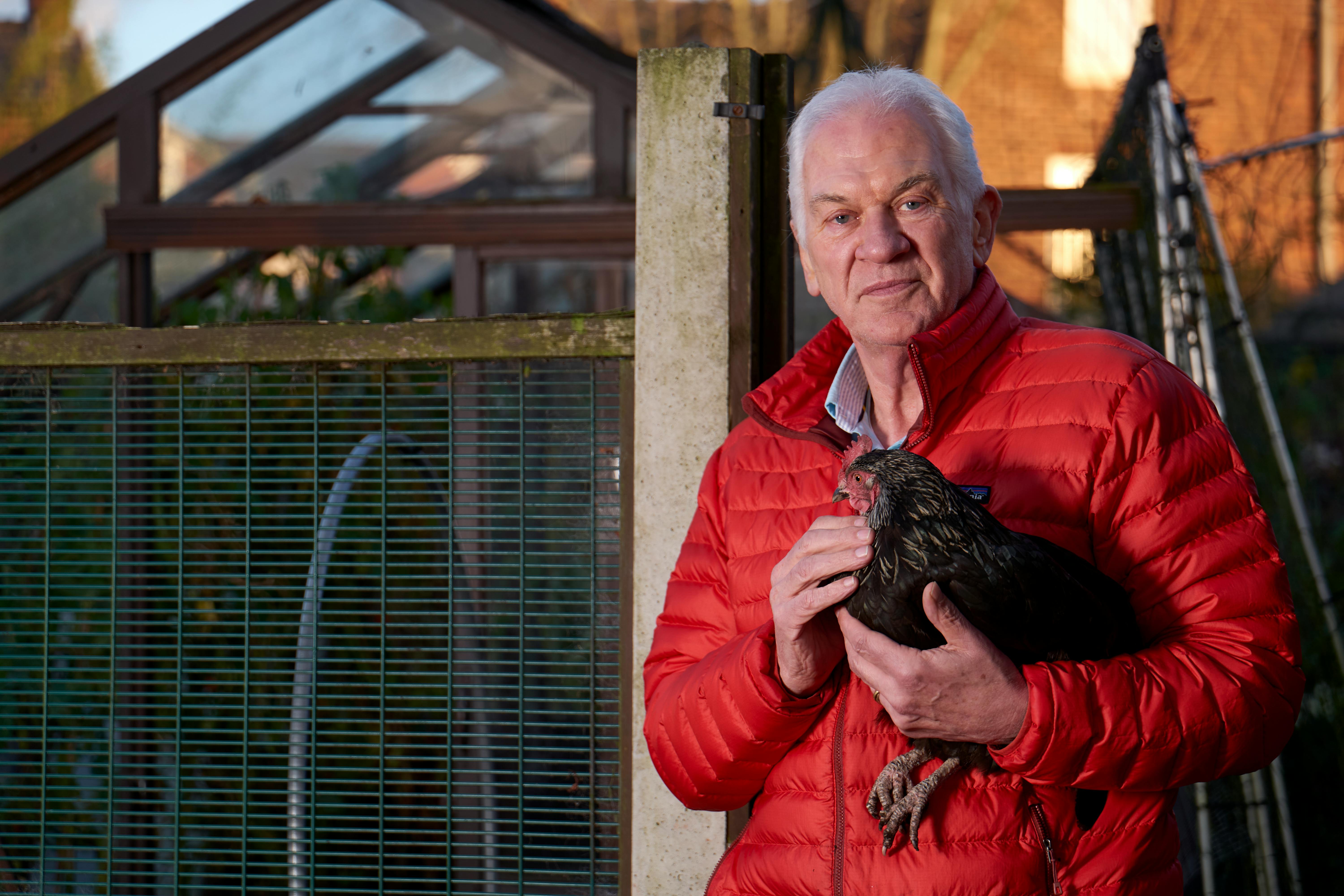 Stirling Albion: Manager Alan Maybury placed on gardening leave — Photo by Centre for Ageing Better on Pexels
