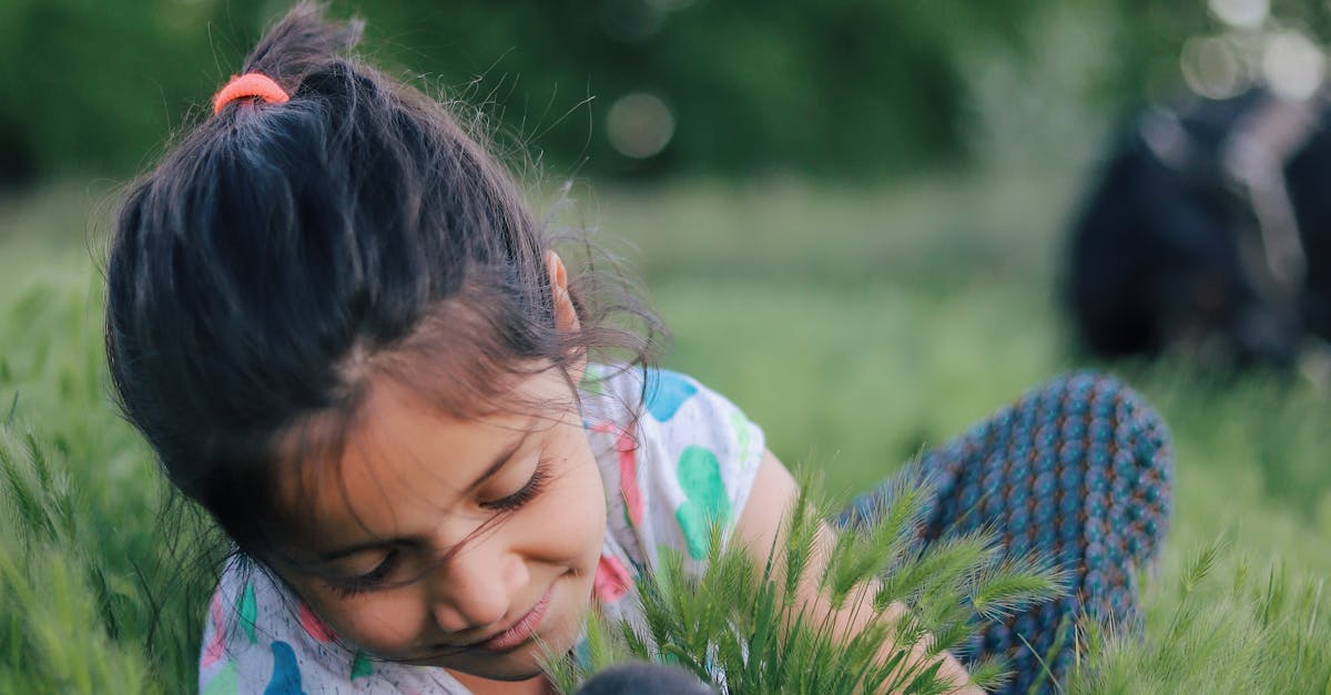 Little girl playing with gray bunny while spending time in summer grassy field