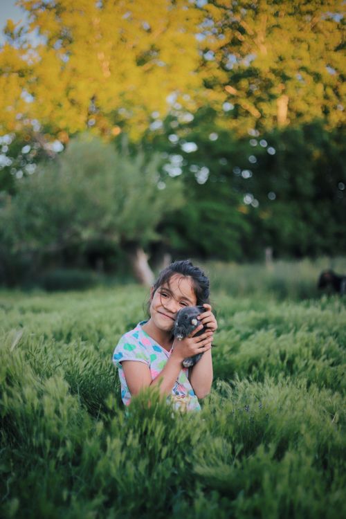 Free Smiling ethnic girl looking at camera while holding gray bunny near face gently in field with trees and tall grass Stock Photo