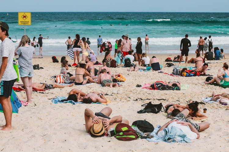 Group Of People On Beach At Daytime