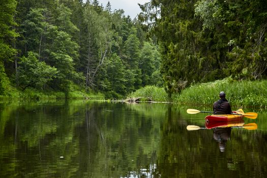 Paddle through a tranquil river surrounded by lush greenery and forest in a solo kayaking adventure.