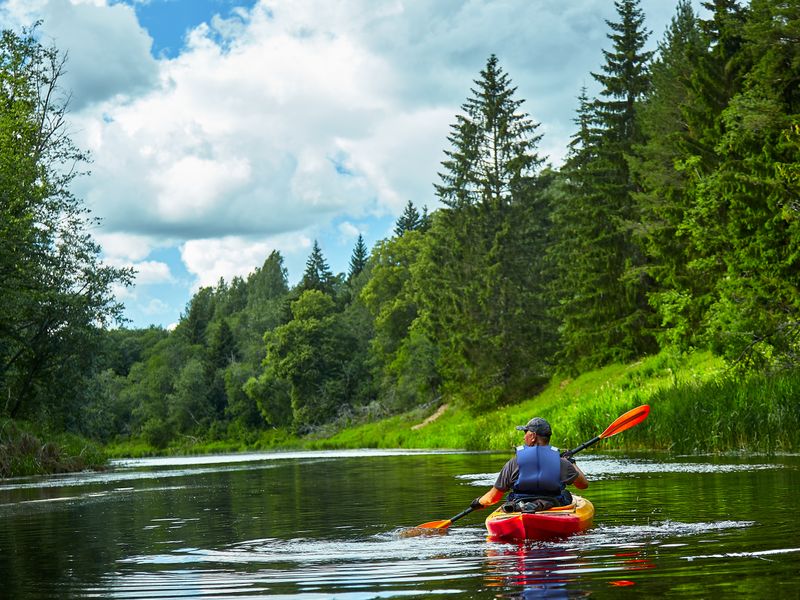 Kayaker paddling through a calm forested lake