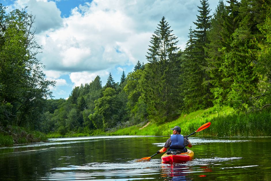 People canoeing on the Gauja River in Latvia, surrounded by lush forests.
