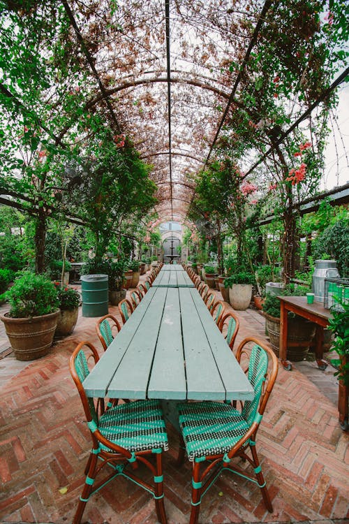 Mesa De Madera Verde Con Sillas