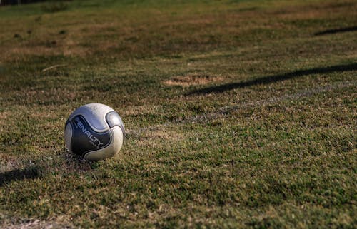 çim, çim alan, Futbol topu içeren Ücretsiz stok fotoğraf