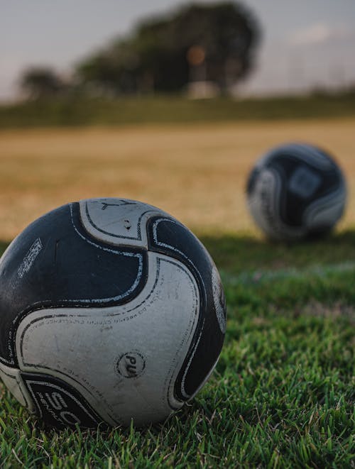 Free Black and White Soccer Ball on Green Grass Field Stock Photo