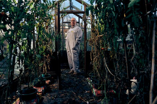 An Elderly Man Standing in Front of Green Plants