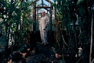 Man in Brown Jacket Standing in Front of Green Plants