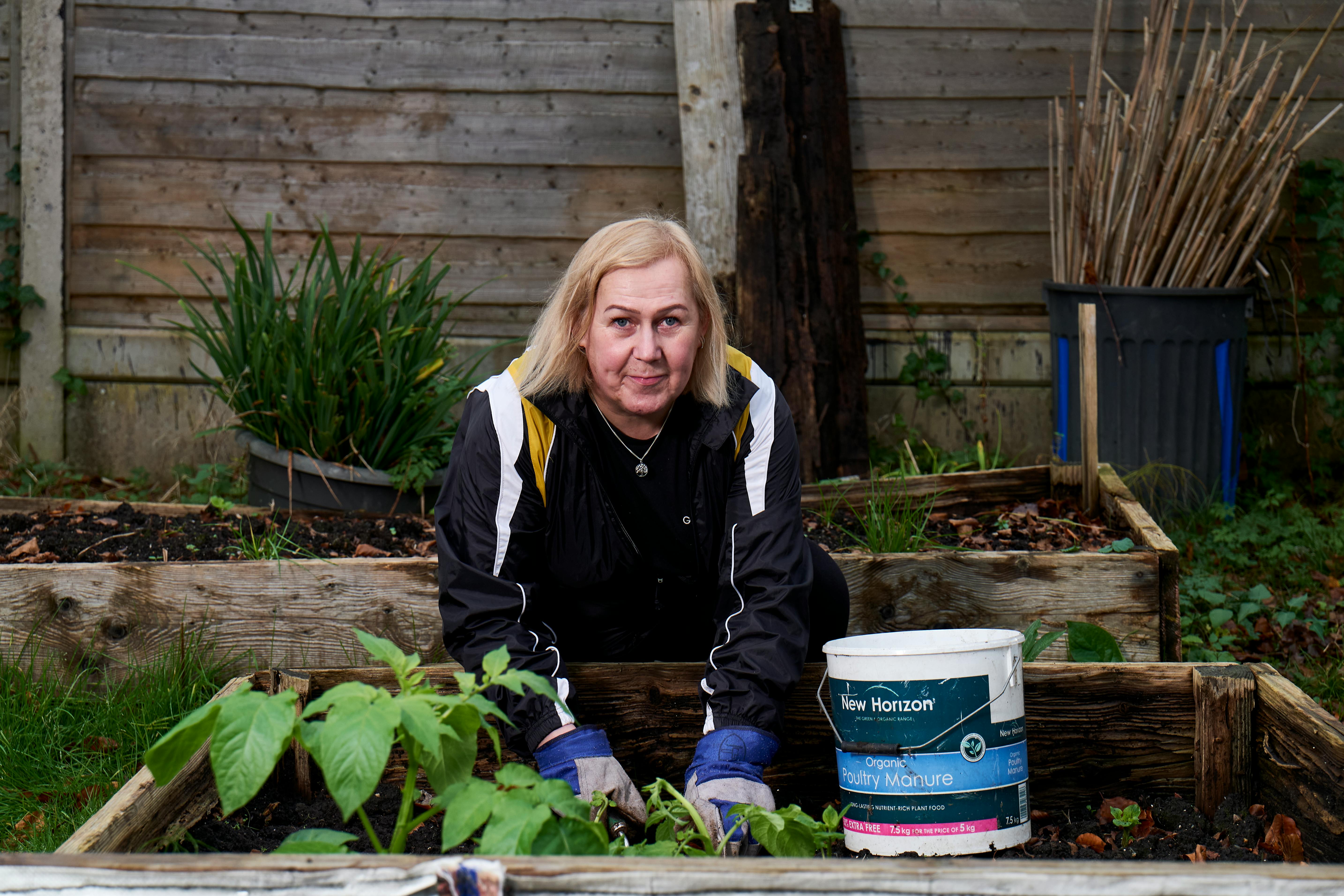 diverse raised beds UK garden