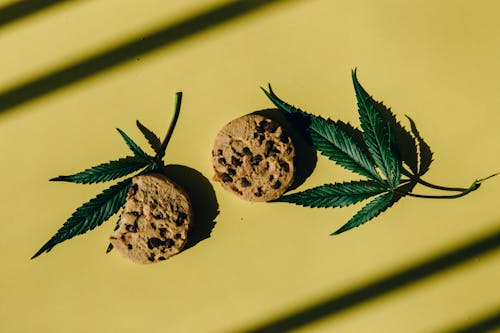 Photos gratuites de biscuits aux pépites de chocolat, cannabis, chanvre