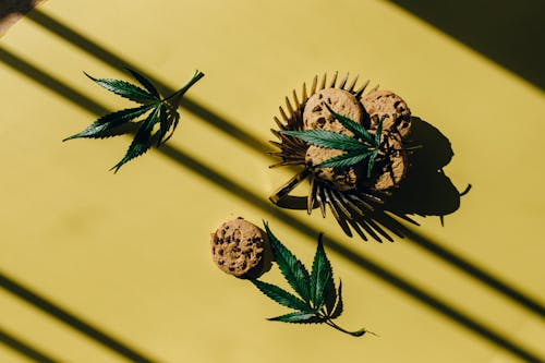 Photos gratuites de biscuits aux pépites de chocolat, cannabis, chanvre