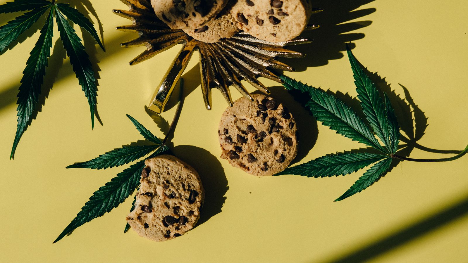 Top view of cannabis leaves and chocolate chip cookies on a sunny yellow background, symbolizing edibles.