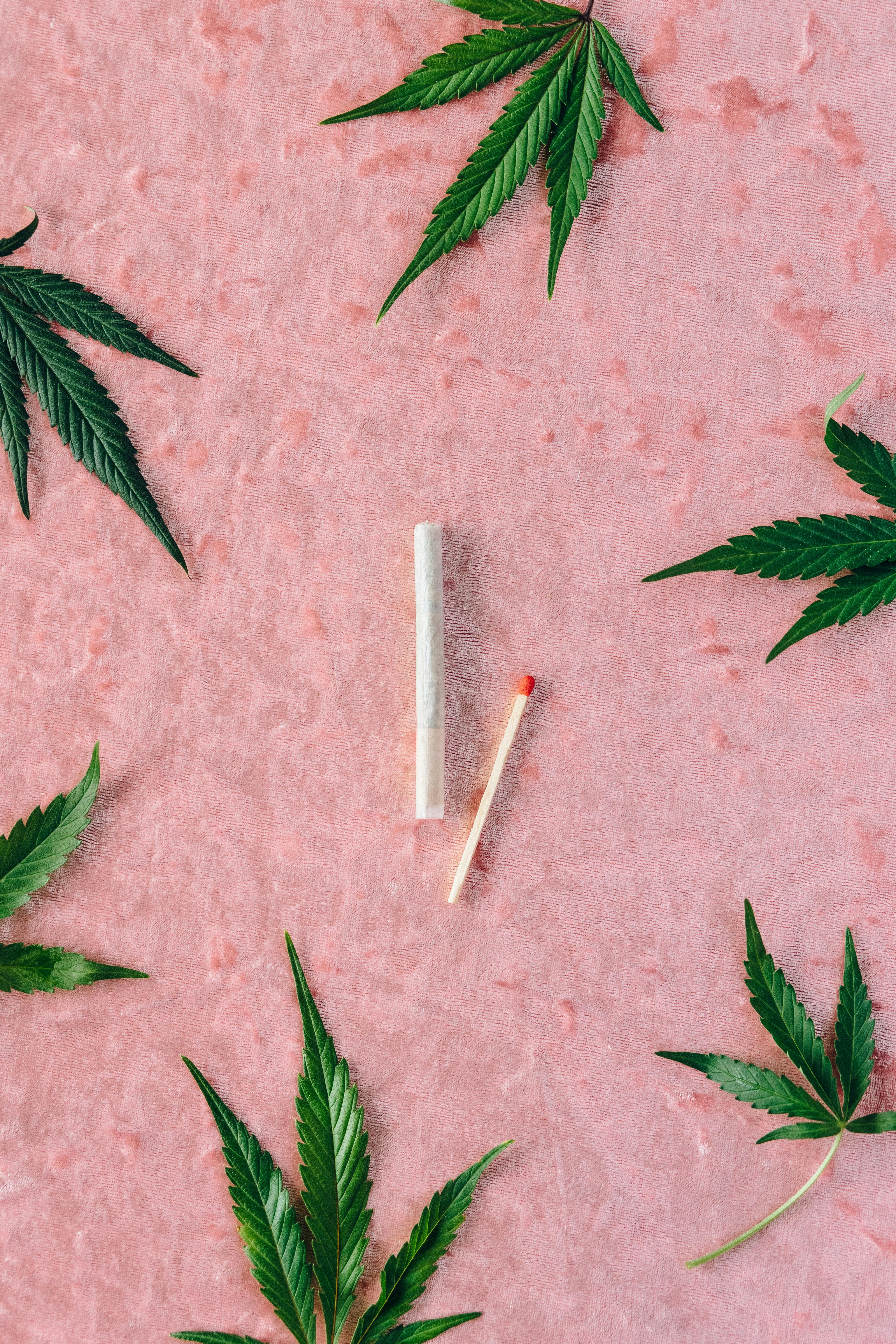 49+] Marijuana Bud Wallpaper - WallpaperSafari