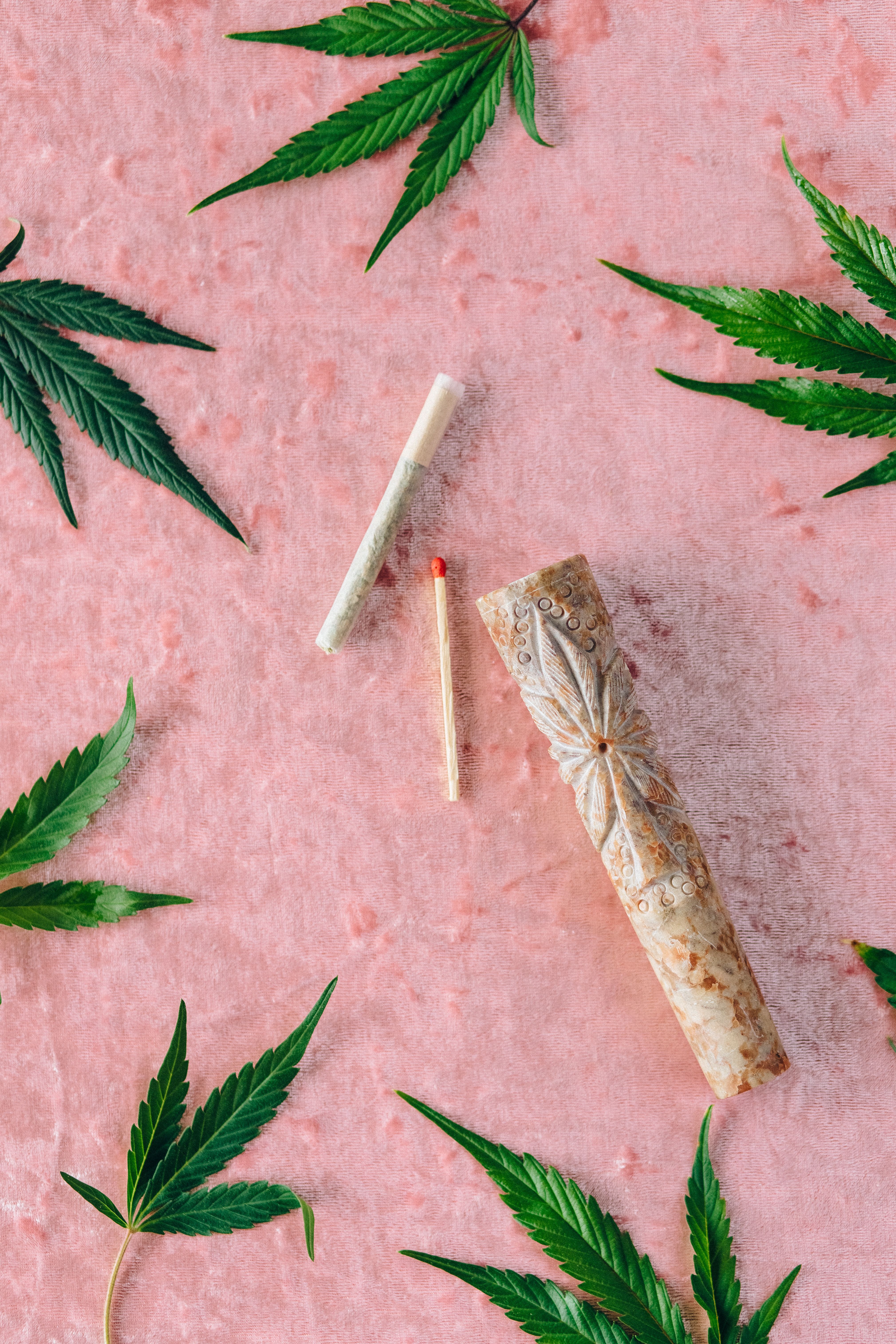 Flat lay featuring cannabis leaves, a joint, and a matchstick on a pink background.