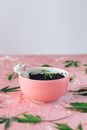 White Ceramic Bowl With Green Leaves on Pink and White Floral Table Cloth