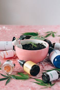 Pink bowl with seedling surrounded by assorted CBD oil bottles on pink background.