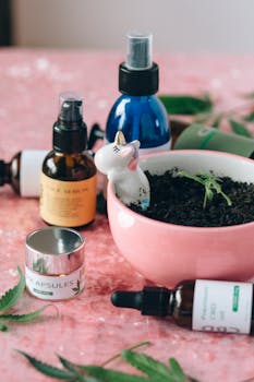 Assorted CBD products with a young cannabis plant in a decorative bowl.