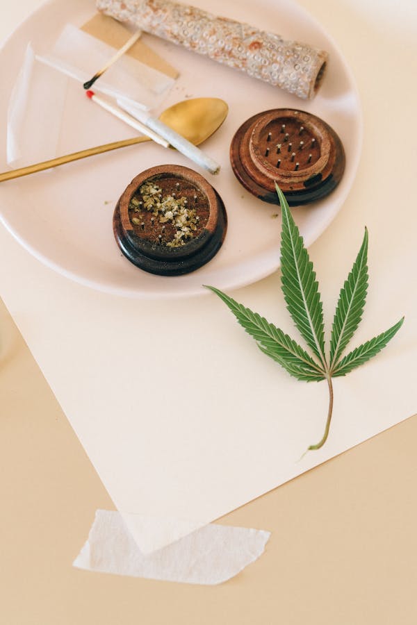 שימוש באפליקציה בבית