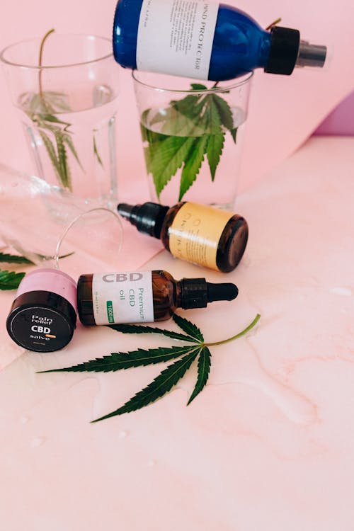 Free Stylish flat lay featuring CBD oil bottles and hemp leaves on a pink background. Stock Photo