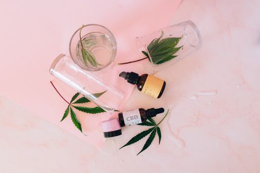 Overhead shot of various CBD oils and leaves on a pink background, showcasing a still life arrangement.
