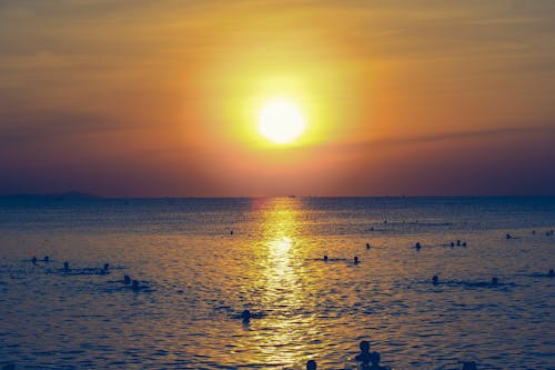 бесплатная Силуэт людей, купающихся в океане во время заката Стоковое фото