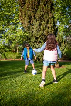 Kids enjoy a fun game of soccer on a bright and sunny day in a lush green park.